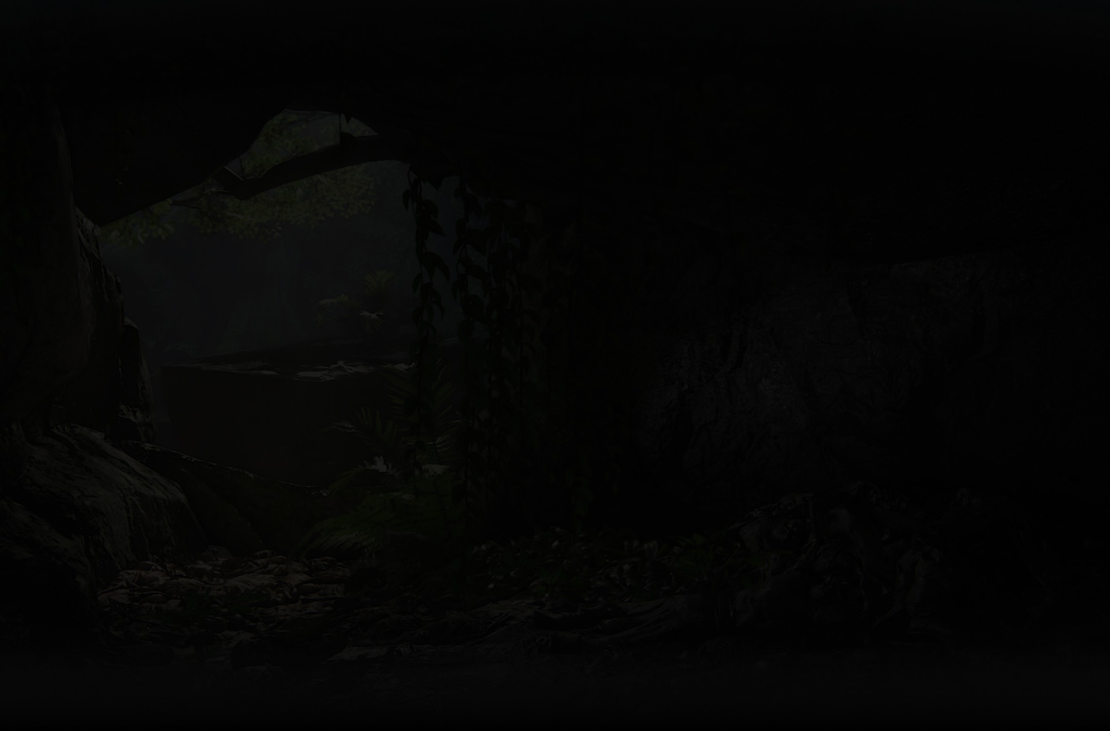 About section background